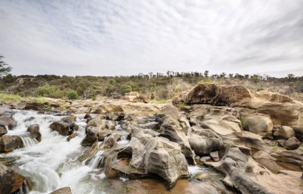 Veduta del Parco del Grande Limpopo, in Sudafrica. Foto di Andrea Frazzetta