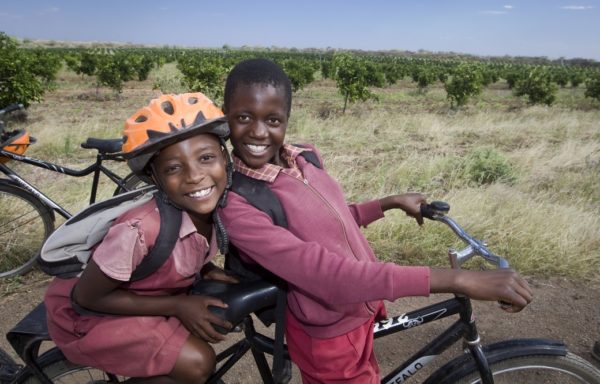 Zimbabwe - Foto di Giovanni Diffidenti