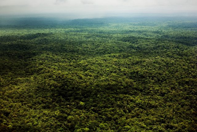 Amazzonia foresta perù ph. Fabio Cuttica