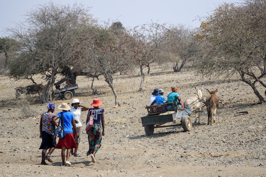 Donne al lavoro nell'aranceto di Shashe, Zimbabwe. Foto di Giovanni Diffidenti.