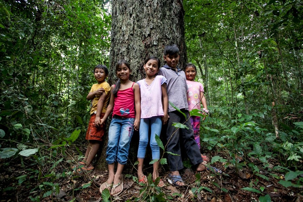 Bambini intorno all'albero della Noce Amazzonica