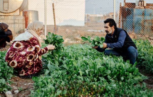 Kurdistan iracheno