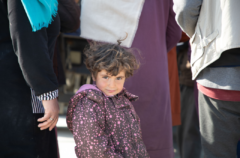 Terremoto Turchia e Siria